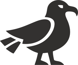 Skua bird