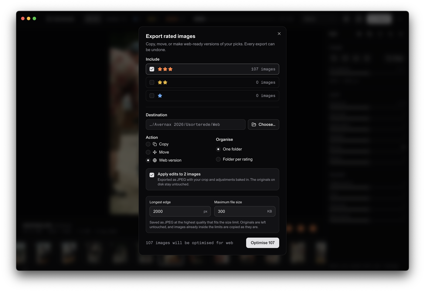 Skua export dialog with rating selection, destination, and web-optimisation settings